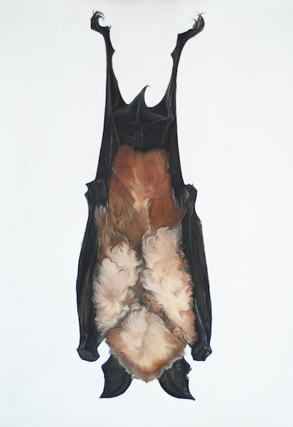 Bat