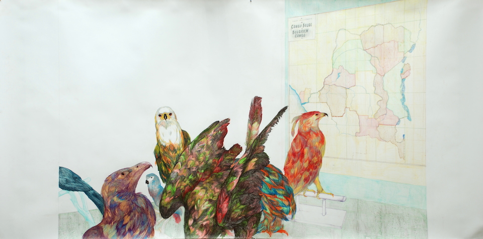 Birds of the Congo (study)