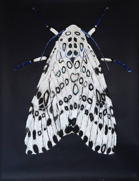 Giant Leopard Moth