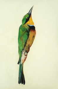 Small Bee Eater